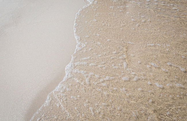 2 bedroom House in Choczewo with swimming pool and garden - Photo 16