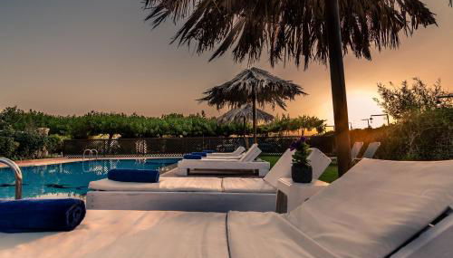 Annlexander - Photo 2