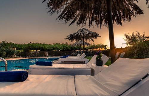 Annlexander - Photo 2