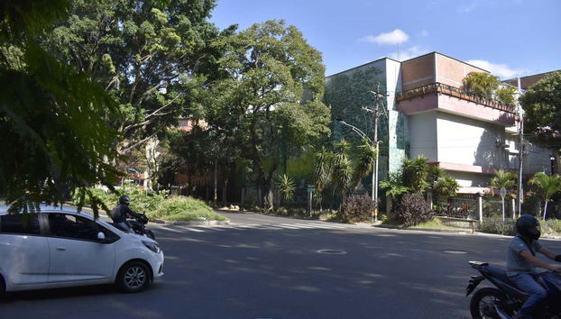 Una giornata soleggiata a Los Laureles