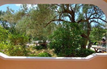 Apartments Marijana - Foto 36