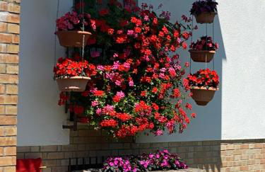 Palazzo Cervesato Appartamento: Maria Luisa - Photo 27