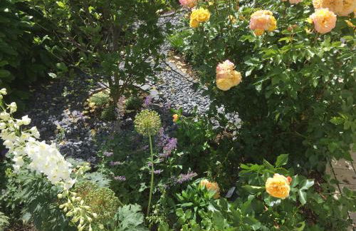 Residence Kingshill - Foto 15