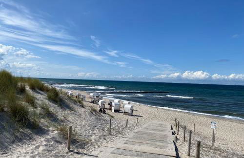 Lieblingsplatz im Küstenwald Graal-Müritz - Foto 20