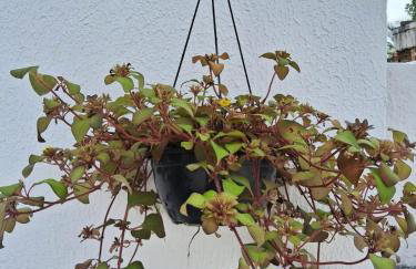 Recanto Ganesha seu paraíso na praia, no Recanto de Itaipuaçu ao lado de Itacoatiara - Foto 57
