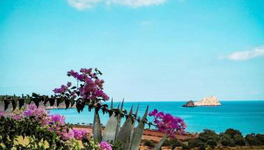 Natica Mare Villas - Photo 2, Garden, Garden view