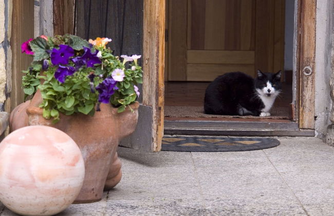 Quaint Farmhouse in Langenbach near Lake - Photo 21