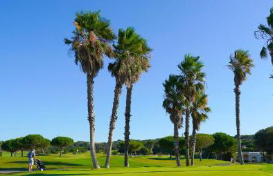 Au bord de l'eau - Appartement cosy au Cap d'Agde - Foto 35