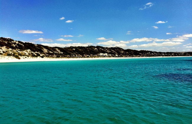 a Dune Escape - Photo 30