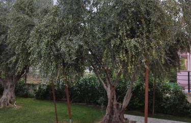 70 m from the sea cozy spacious studio - Foto 10