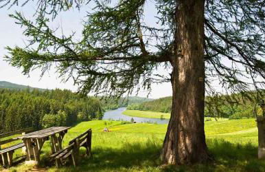 Edelstein Ferienwohnung Philippsreut - Foto 58