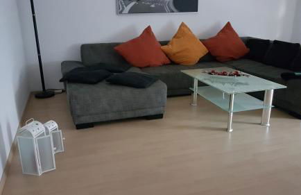 Ferienwohnung keine Monteurvermietung Nähe Heidelberg Hockenheim BDS Anlage - Foto 13