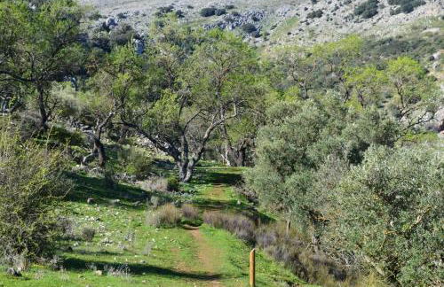 Casa Isabel - Foto 44