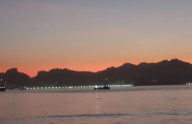 Andorinhas - Foto 24