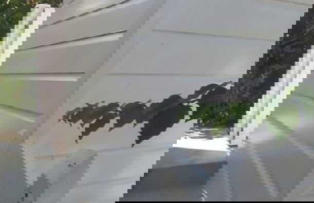 Dreamin Villa - 3 B R Beachfront w Staff - Photo 23