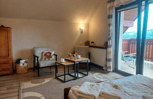 Willa Przekop - apartamenty - Foto 42