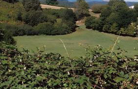 Gîte Du Lavoir - Foto 22