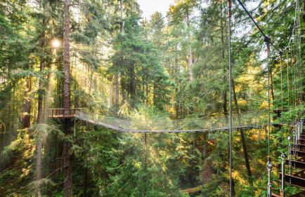 Private Home - #RedwoodSkyWalkRetreat - 5BD, Pro Pool Table, BBQ, Foosball, Darts, Fireplace, Movie Projector, Stereo, Cotton Bedding - Foto 53