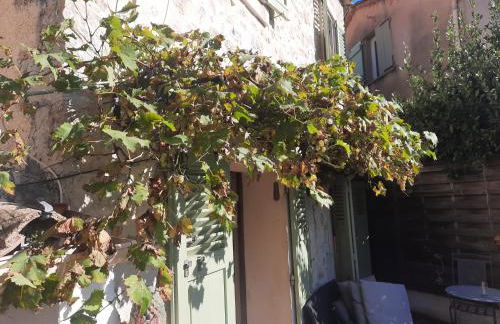 Tranquil, calm garden studio with spa pool - Foto 1