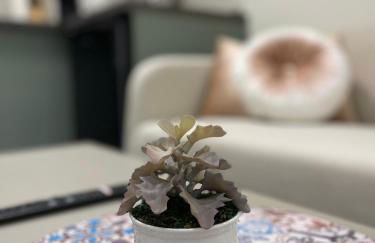 Picasso City Centre 1B - Foto 48