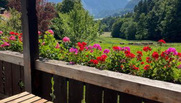 Maiergschwendter-Hof inkl. Chiemgaukarte - Foto 4