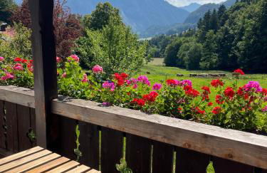 Maiergschwendter-Hof inkl. Chiemgaukarte - Foto 4