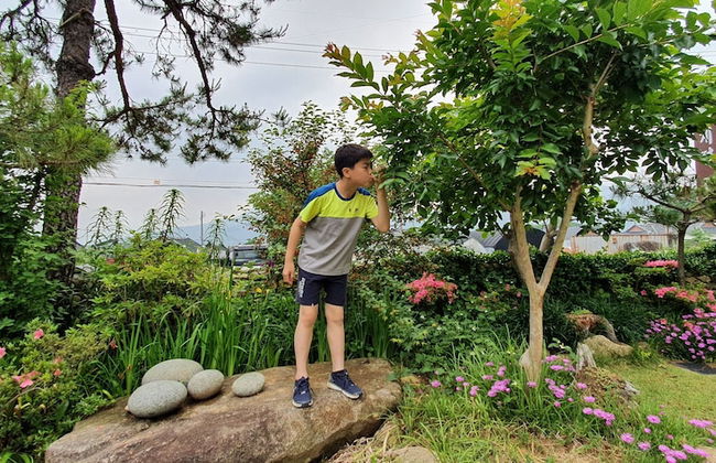 Sun Rise Pension - Foto 31