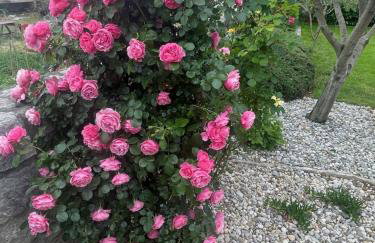 Krk Houses - Foto 80