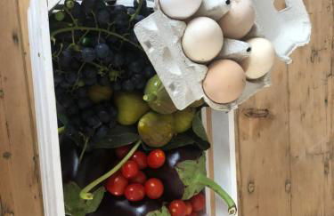 Pecore Ribelli - Photo 12