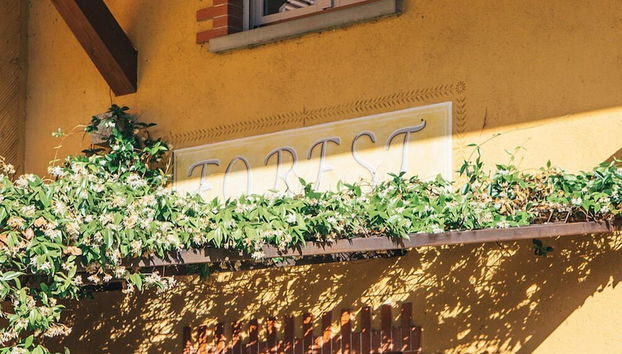 AGRITURISMO FOREST B&B - Foto 2, Imagen principal