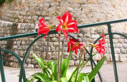 Charmant appartement dans maison de village - Foto 18