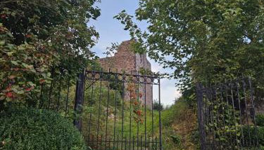 Haus am Burgturm Kronenburg - Foto 5