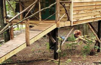 Dreamy Treehouse Cabin Oasis Near Piney River, Tennessee - Foto 11