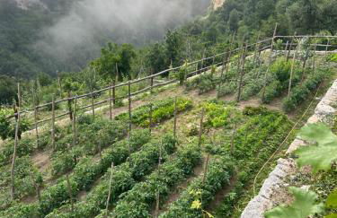 Agriturismo Orrido di Pino - Foto 28