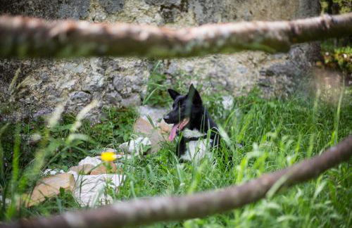 Appartamento A Due Passi - Foto 29