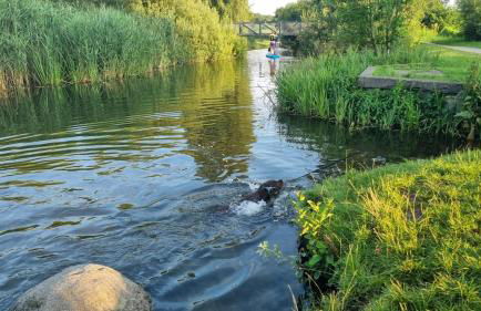 Wunderschöne Wohnung im Grünen - Foto 9