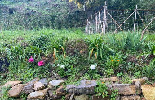 DOLCE VITA IN TUSCANY Cottage - Foto 42