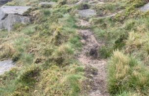 Littles Cottage, heart of the Mournes - Photo 32