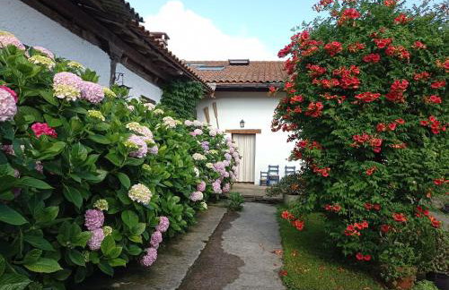 Lokate 5 Habitaciones - Photo 8