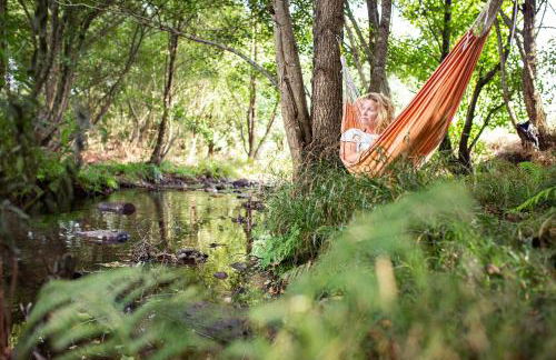 Moinho da Fadagosa - Foto 8