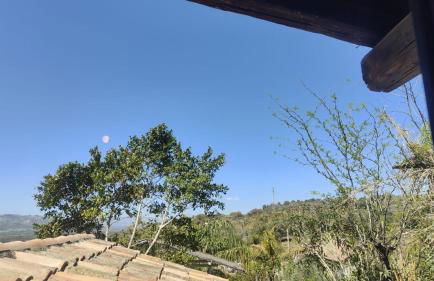 La Fattoria Dei Nonni - Foto 15