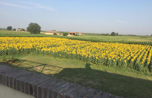 Il Murello - Photo 25