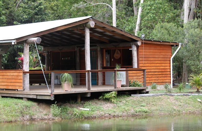 Rainforest Ranch - Photo 21