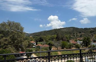 Delfinia Studios - Photo 5