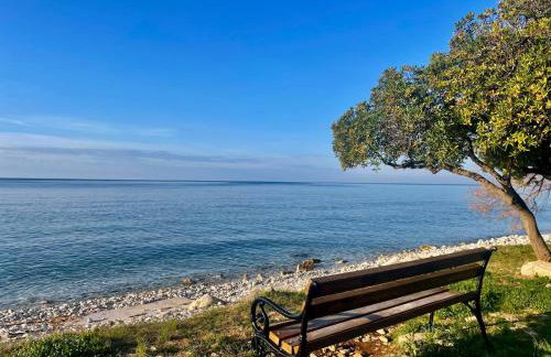 Apartman Mare - Foto 19