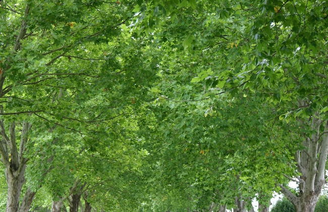 Moorcroft Manor Boutique Country Hotel - Photo 77