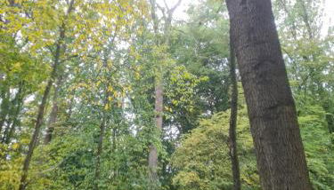 Ferienunterkunft am Schloss - Foto 2