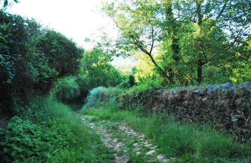 Casas Rurales Camino del Castaño - Foto 14