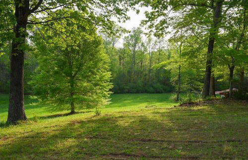 Southern Home and fishing lake. - Foto 28