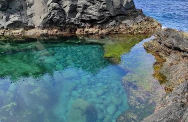 Sea Roots "Sea Zone" - Foto 50